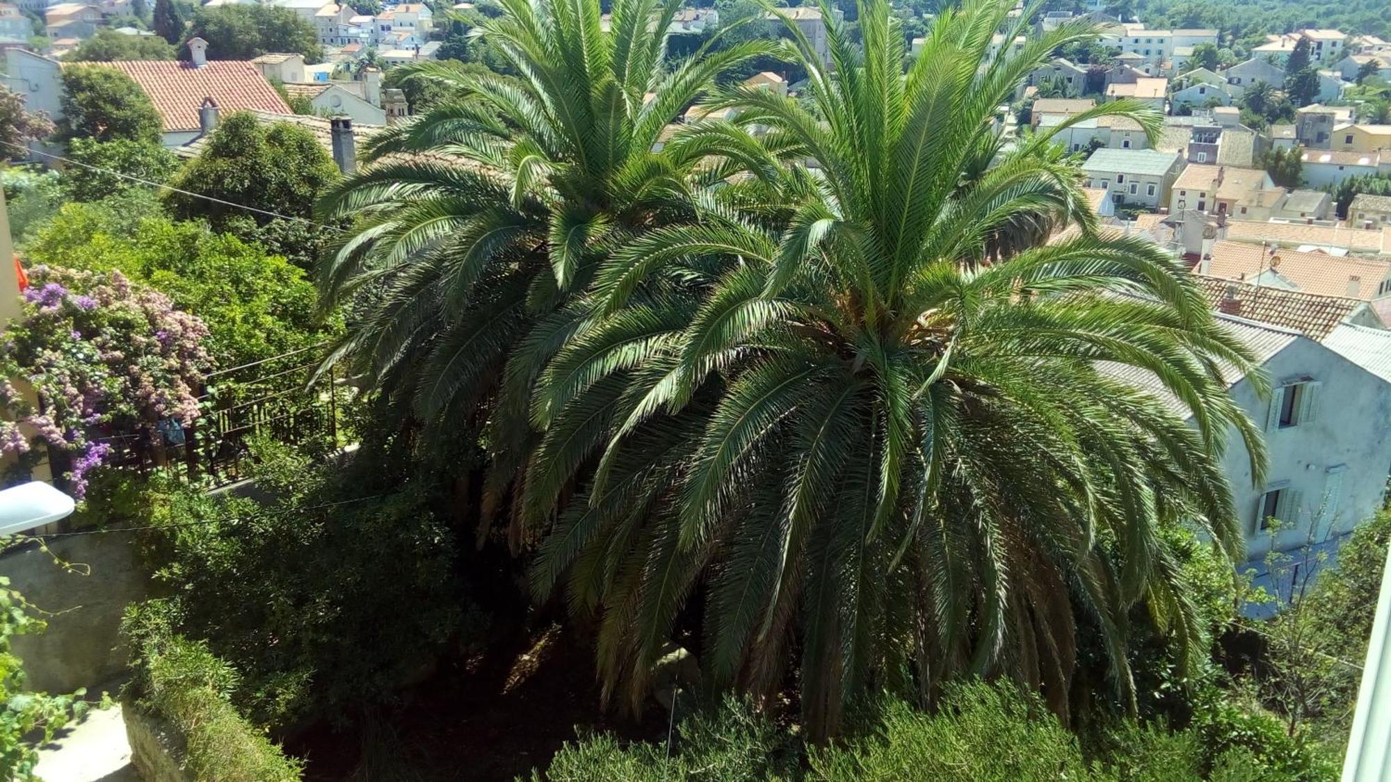 Emma Mali Lošinj